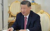 xi urges accelerated new energy development