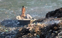 city kills the golden goose