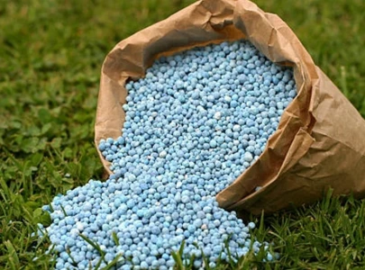 urea sales hit six year low in 1qcy26