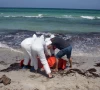 libya recovers 17 migrant bodies