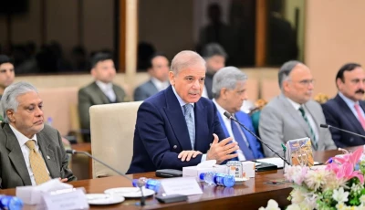 prime minister shehbaz sharif addresses a meeting of pml n s parliamentary party in islamabad on tuesday government of pakistan x