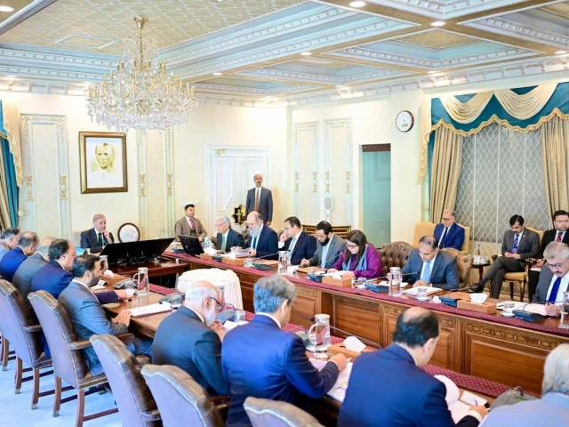 Secret to national development lies in AI and digitisation: PM Shehbaz