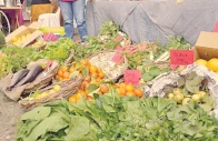 experts for tapping organic markets