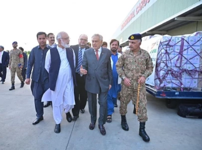 pakistan to dispatch 100 tonnes of aid to gaza on pm s directive pakistan to dispatch 100 tonnes of aid to gaza on pm s directive