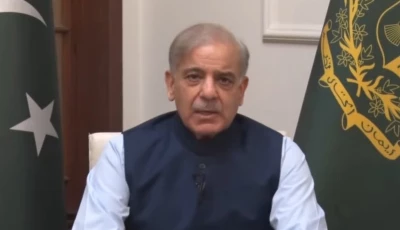 prime minister shehbaz sharif speaks in a video address screengrab