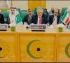 deputy prime minister and foreign minister muhammad ishaq dar addresses the extraordinary ministerial session of the oic executive committee on friday photo mofa x