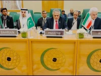 deputy prime minister and foreign minister muhammad ishaq dar addresses the extraordinary ministerial session of the oic executive committee on friday photo mofa x