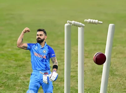 the stump that broke the camel s back the stump that broke the camel s back