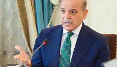pm shehbaz confirms immediate pakistan india ceasefire