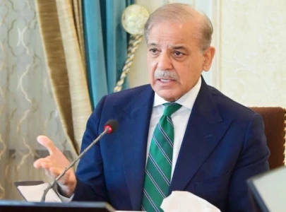 pm shehbaz confirms immediate pakistan india ceasefire