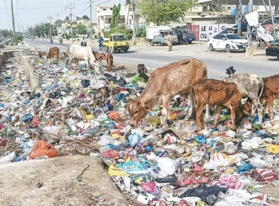 biogas production from waste manure begins in karachi