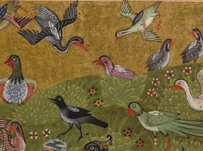 if love hurts the sufis say you re doing it right if love hurts the sufis say you re doing it right