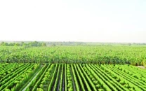 pakistan uk discuss trade energy security