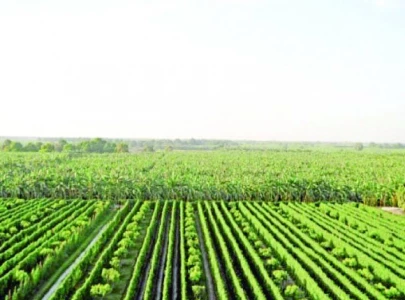 new schemes for agri sector new schemes for agri sector