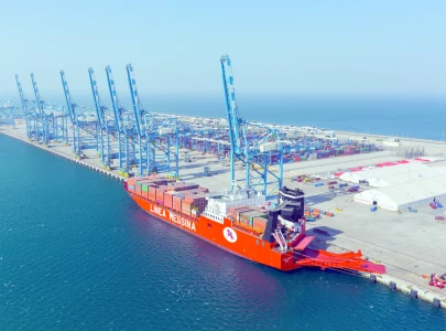 body reviews chinese projects