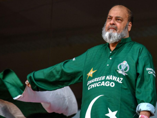 standing out in the crowd   a pakistan fan at india s world cup
