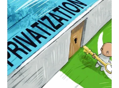 can privatisation cause transformation can privatisation cause transformation