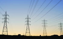 more power plants to be privatised more power plants to be privatised