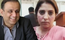 uproar in senate panel as aleem khan and palwasha khan trade barbs