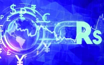 pm panel urges rupee adjustment