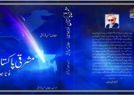 the story of a broken star why jinnah s pakistan split