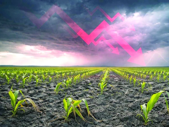 climate shocks agriculture climate shocks agriculture