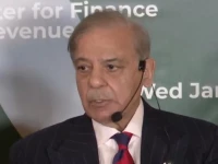 prime minister shehbaz sharif addresses the pakistani community and businessmen on the sidelines of the world economic forum in davos switzerland on wednesday screengrab