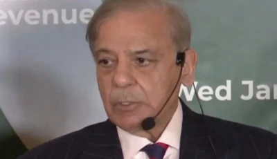 prime minister shehbaz sharif addresses the pakistani community and businessmen on the sidelines of the world economic forum in davos switzerland on wednesday screengrab