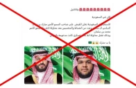 fact check saudi arabia has not busted any assassination plot involving crown prince alleged royal family member