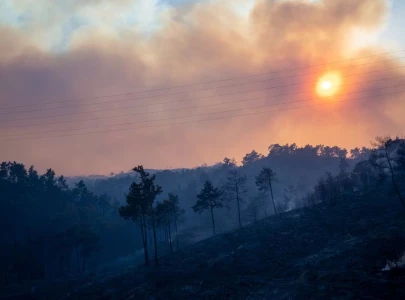 rhodes wildfire forces thousands of evacuations tourists flee