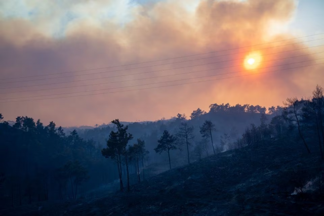 rhodes wildfire forces thousands of evacuations tourists flee