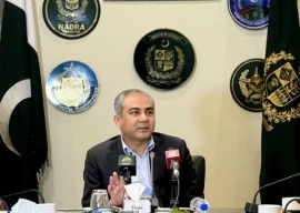 rumours of president zardari s removal baseless interior minister