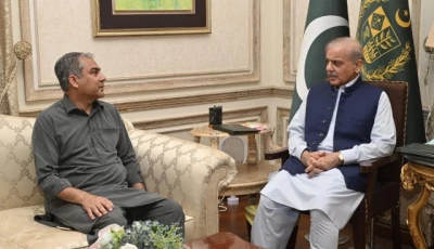 interior minister mohsin naqvi meeting prime minister shehbaz sharif in lahore on july 6 photo express