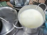 2 000 liters of fake milk seized and destroyed in lahore