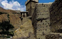 here s what pakistanis looked up on tiktok in 2025