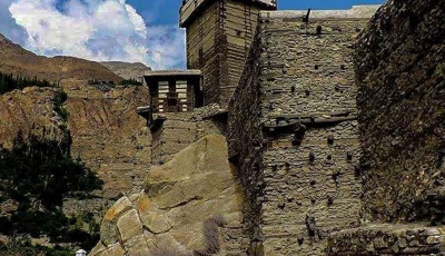 here s what pakistanis looked up on tiktok in 2025