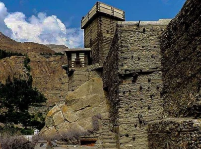 here s what pakistanis looked up on tiktok in 2025