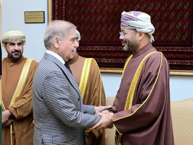 Omani FM appreciates Pakistan’s efforts to ease regional tensions in meeting with PM Shehbaz