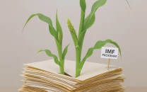 sindh delays 45 agri income tax sindh delays 45 agri income tax