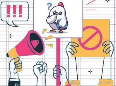 imf rejects wealth tax chicken duty imf rejects wealth tax chicken duty