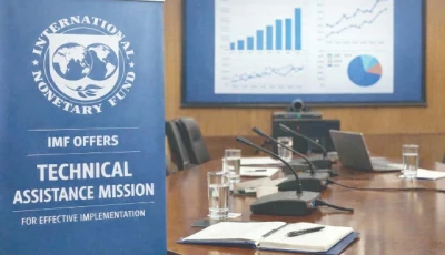 imf reforms design mohsin alam