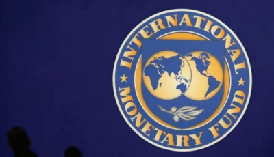 imf sees weak external position
