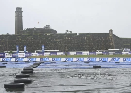 photo afp