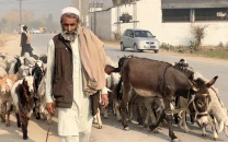 on the move as the climate shifts on the move as the climate shifts