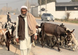 on the move as the climate shifts