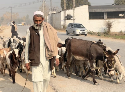 on the move as the climate shifts