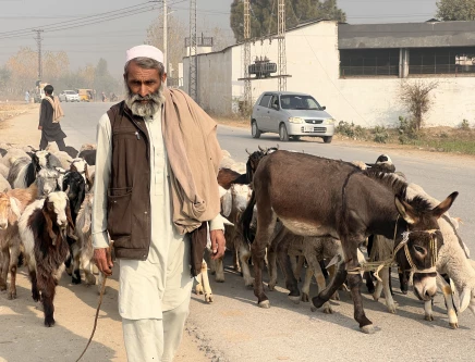 on the move as the climate shifts