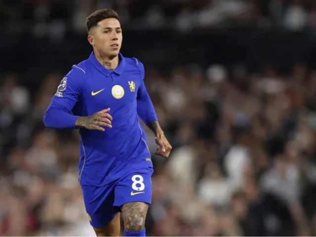 Man City land Fernandez in record deal