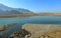 shared water shared survival