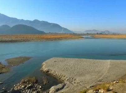 shared water shared survival